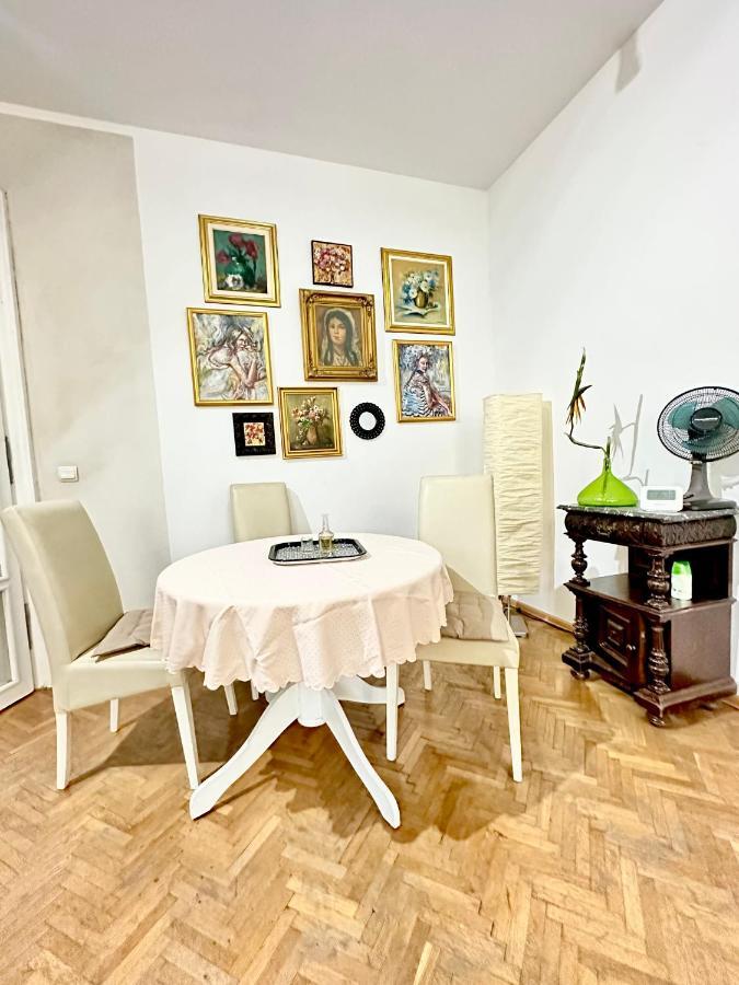 Charming Apartament City Center Timisoara Exterior photo